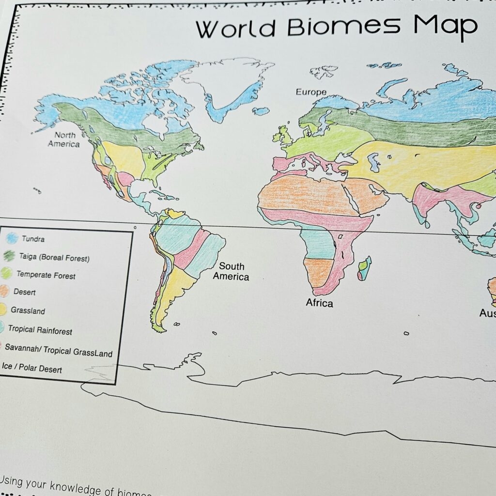 Biome Activities For Grades 5 8 Hands On And NGSS Aligned