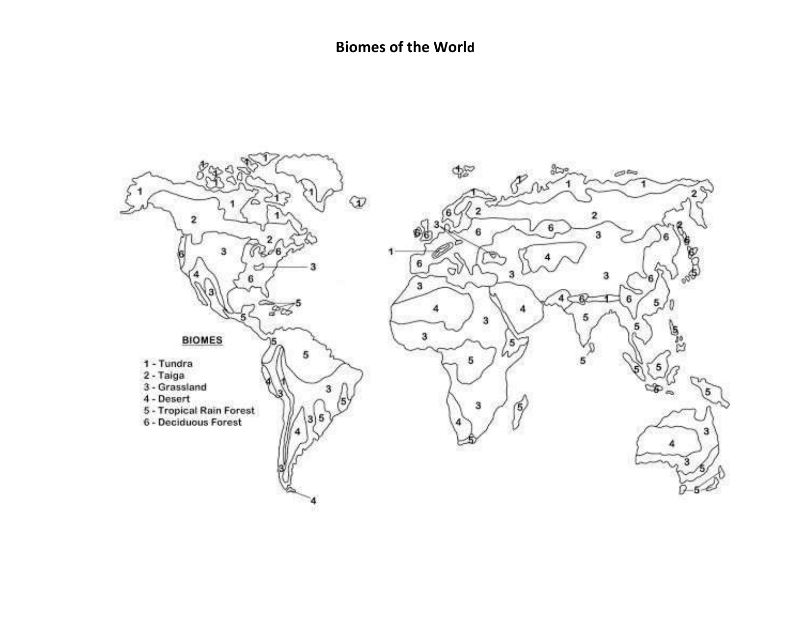 Biomes Worksheet Temperature Precipitation And Life