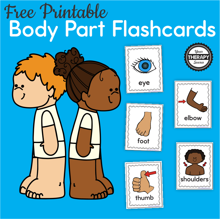 body part flashcards