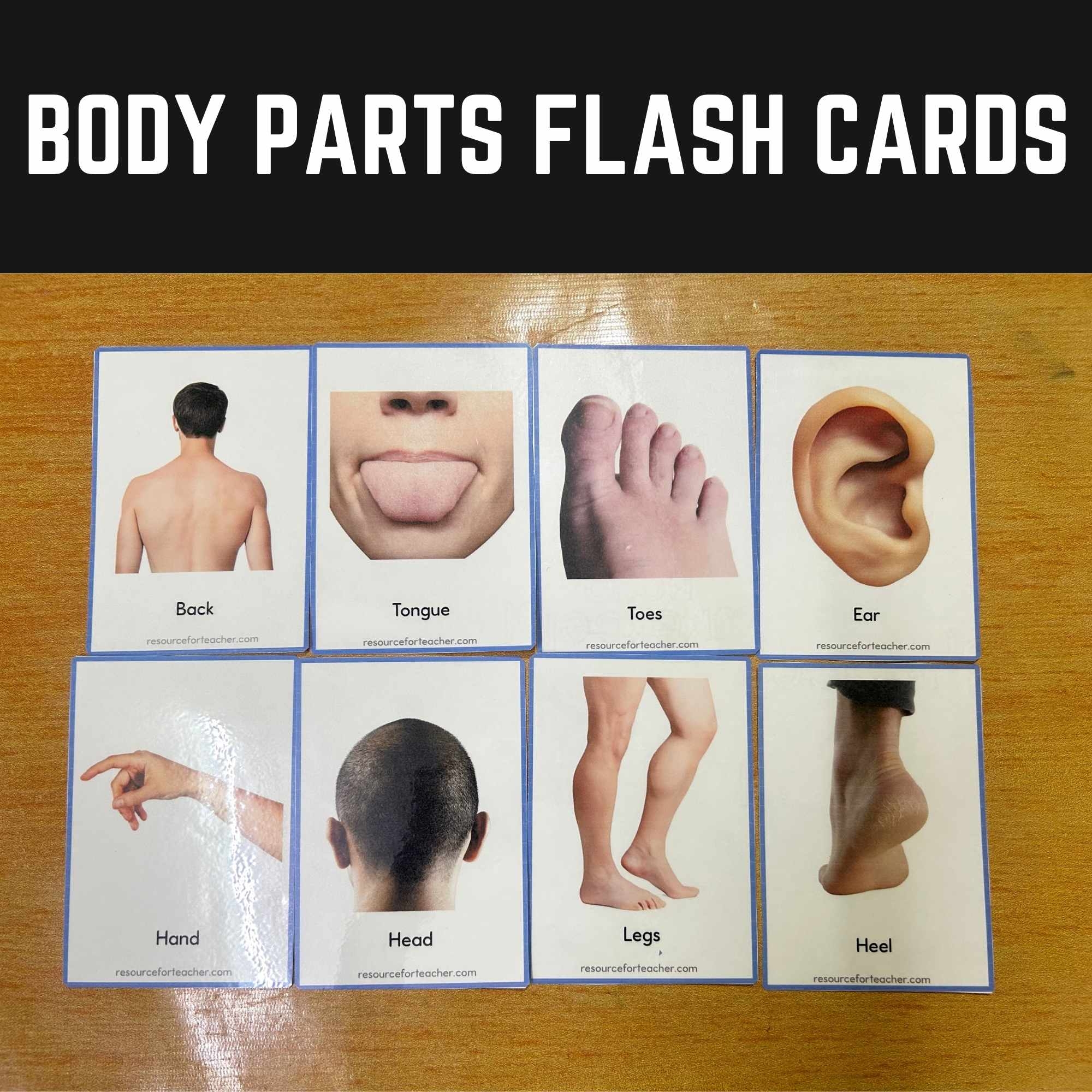 Body Parts Flash Cards Resource For Teacher