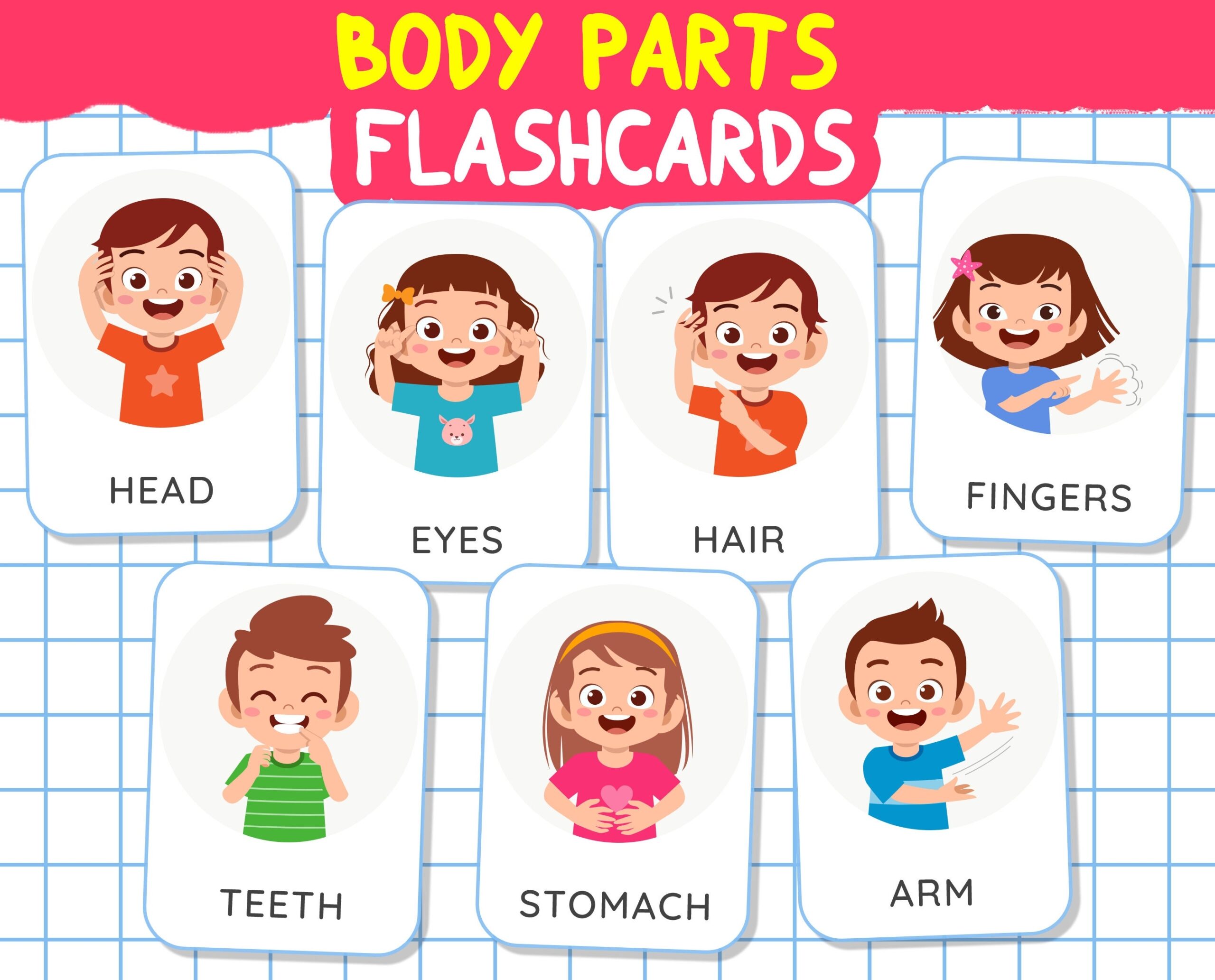 Body Parts Flashcards For Kids Montessori Learning digital Download Etsy