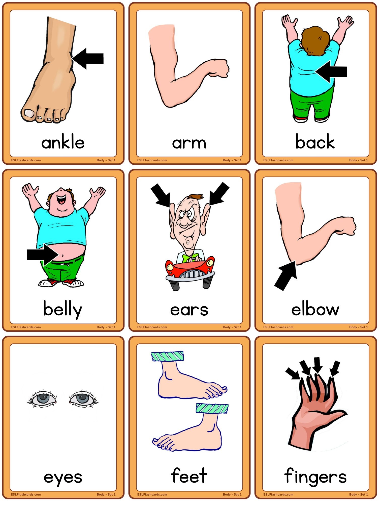 Body Set 1 ESL Flashcards