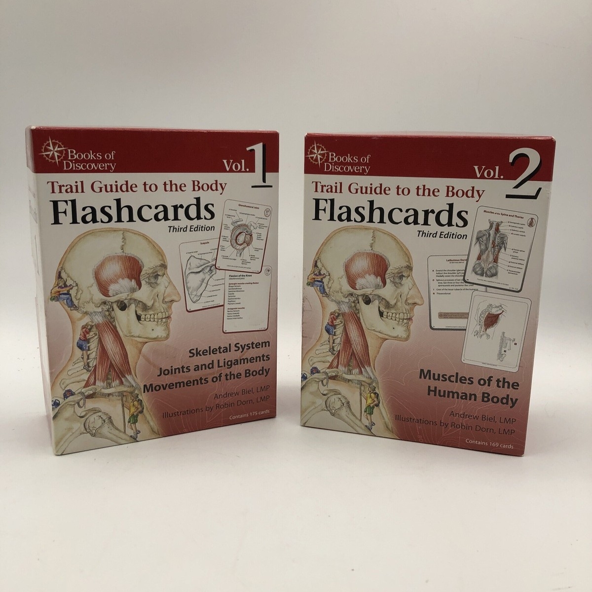 Books Of Discovery Trail Guide To The Body Flash Cards Skeletal Muscles Cards EBay