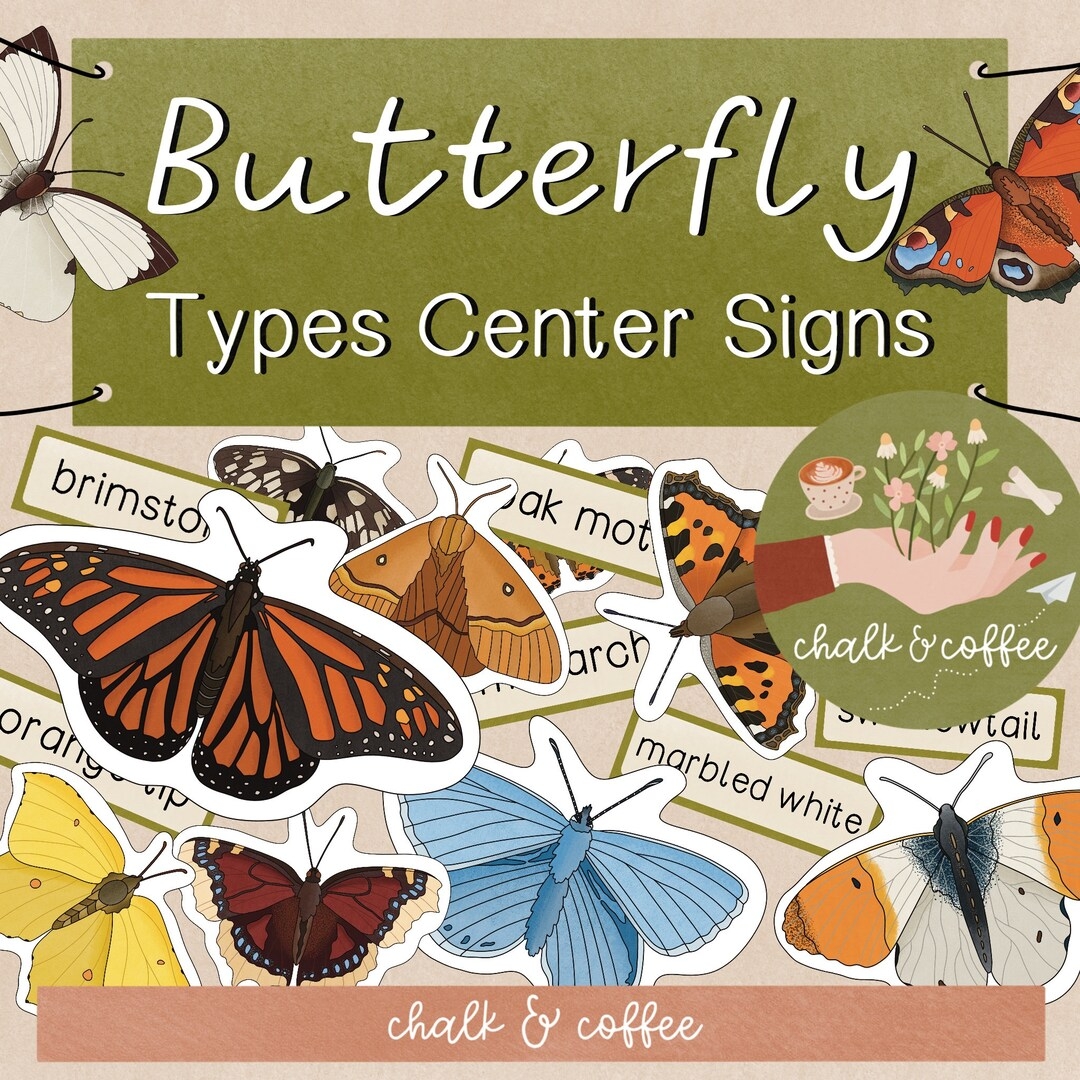 Butterfly Center Signs Types Of Butterflies Science Insects Vocabulary Cards Domestic Butterflies Signs Animals School Picture Cards Etsy