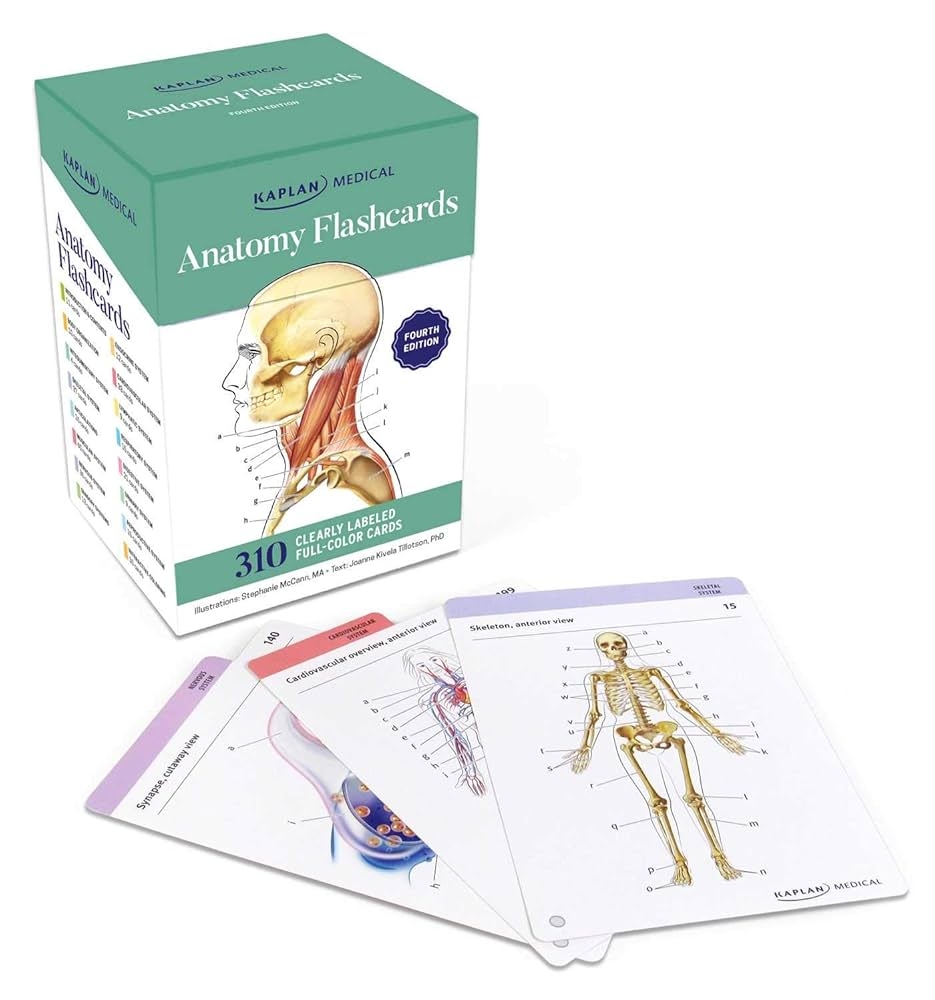 best flashcards for anatomy