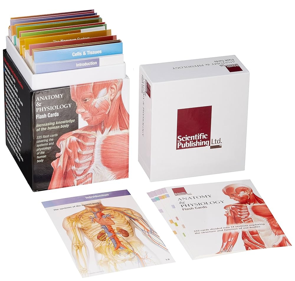 Buy Anatomy Physiology Flash Cards Book Online At Low Prices In India Anatomy Physiology Flash Cards Reviews Ratings Amazon in