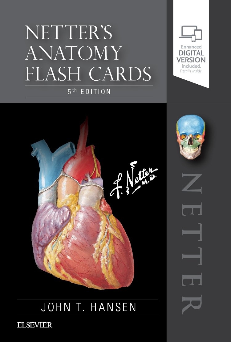 Buy Netter s Anatomy Flash Cards 5th Edition At Ubuy Togo