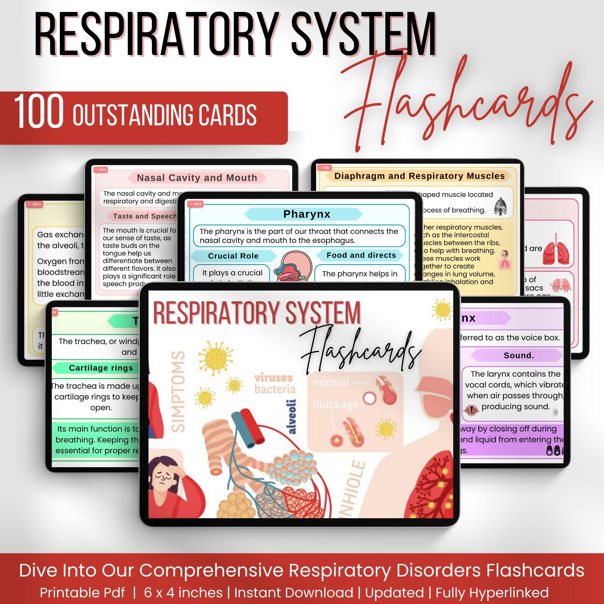 respiratory system flashcards