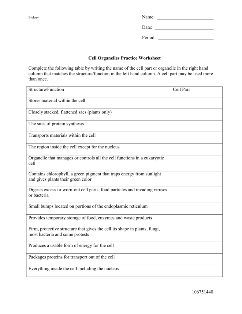 Cell Organelles Practice Worksheet Biology
