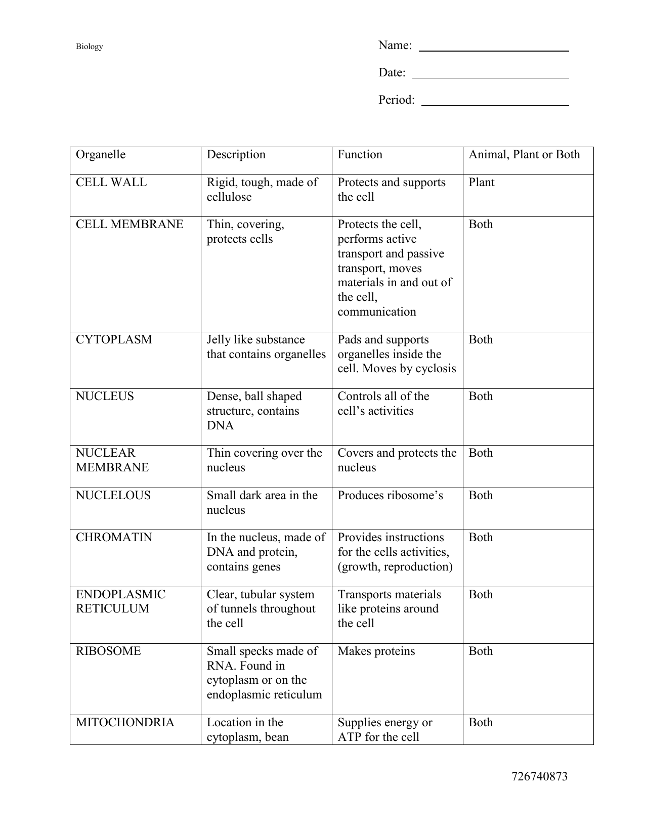 Cell Organelles Worksheet Biology For High School
