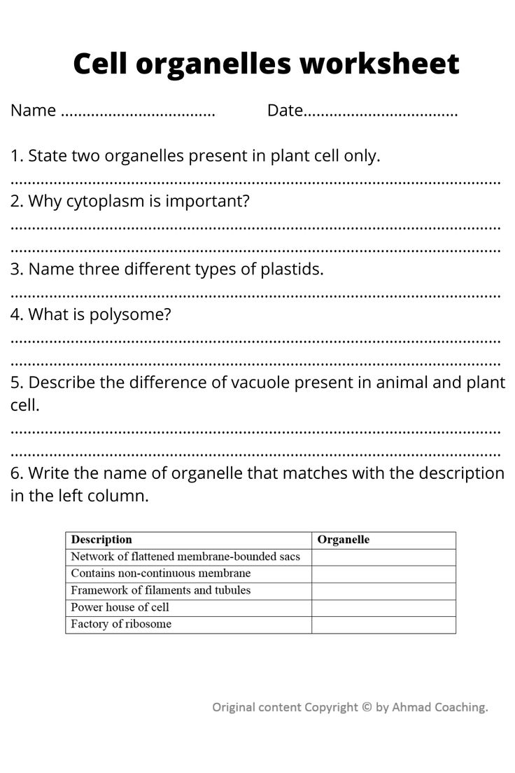 cell organelles worksheet