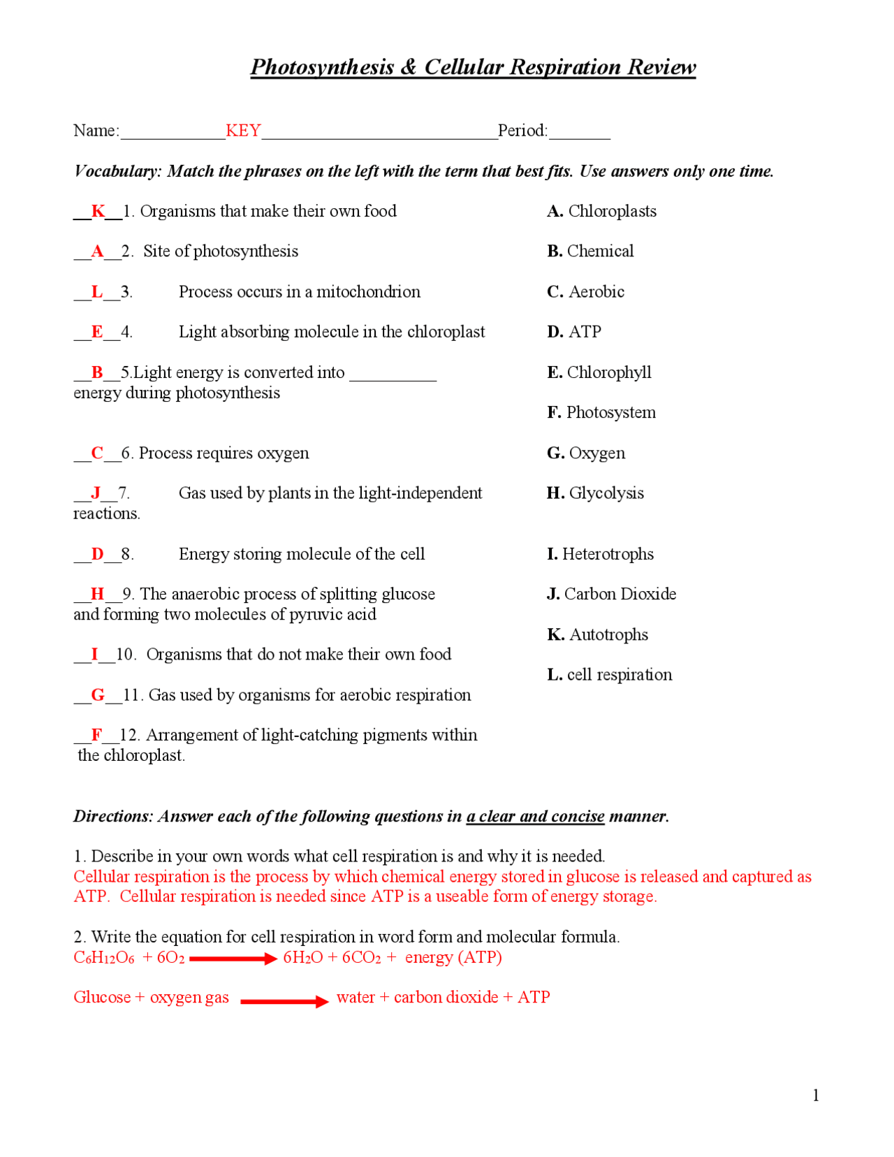 Cell Respiration And Photosynthesis Review Packet Exercises Worksheets Library