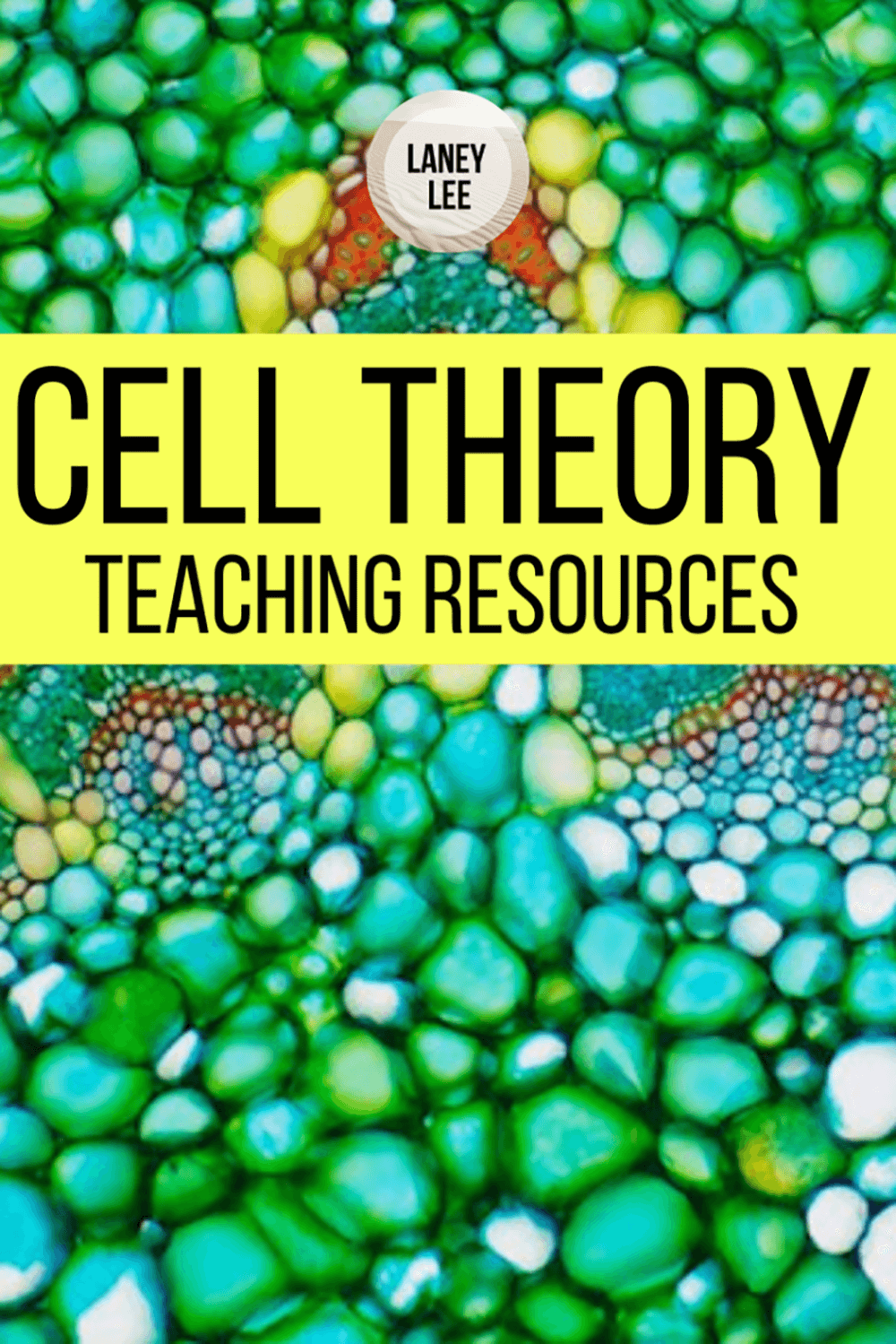 Cell Theory Worksheets Definition Laney Lee Teaching Resources Cell Theory Worksheets Definition Laney Lee Teaching Resources