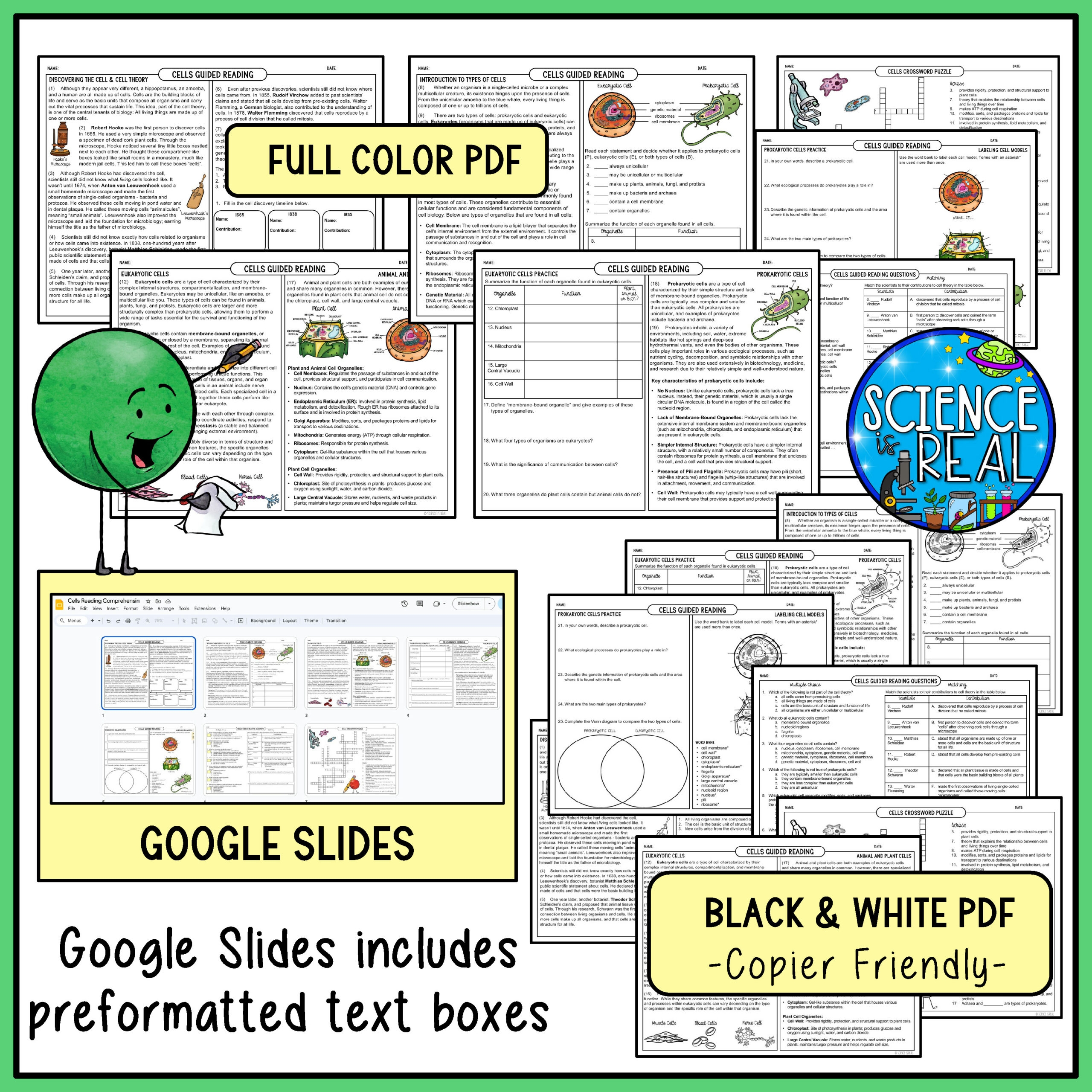 Cells Reading Comprehension Cell Theory Types Of Cells And Cell Organelles Classful