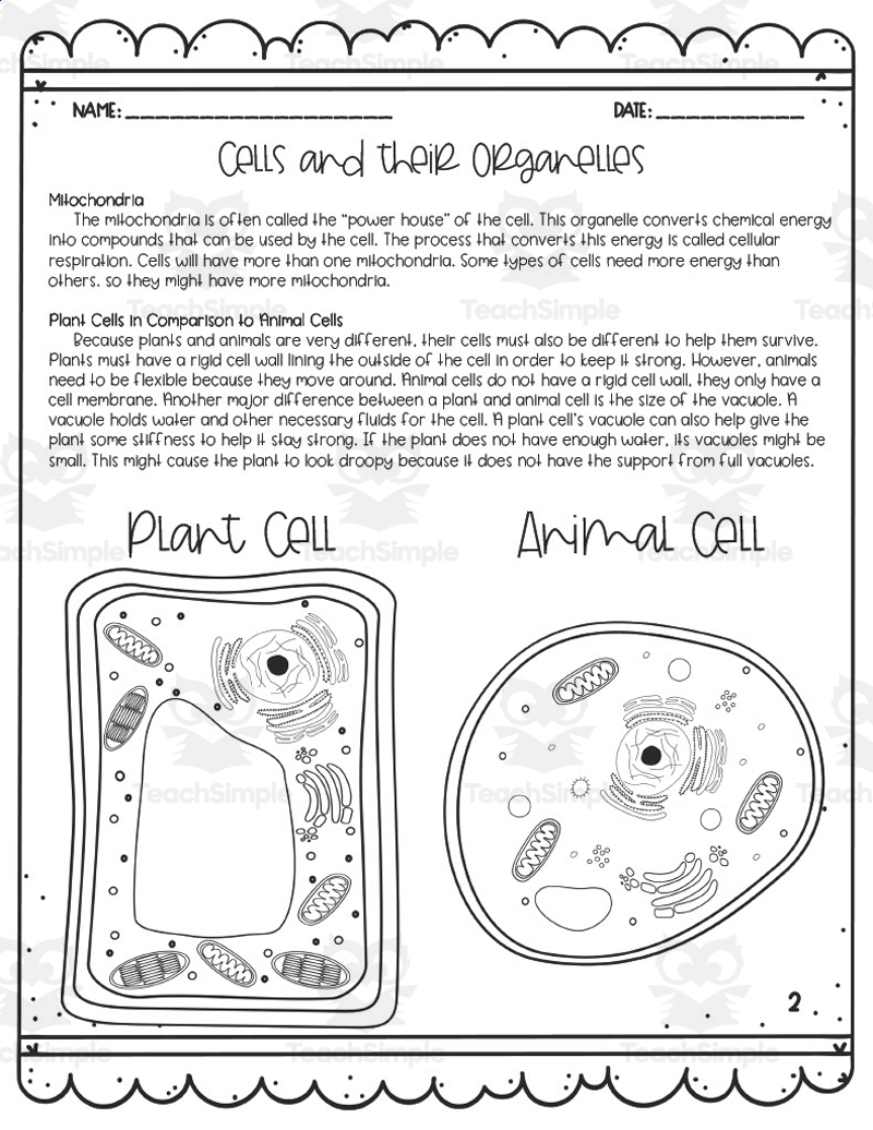 Cells Their Organelles Reading Activity By Teach Simple
