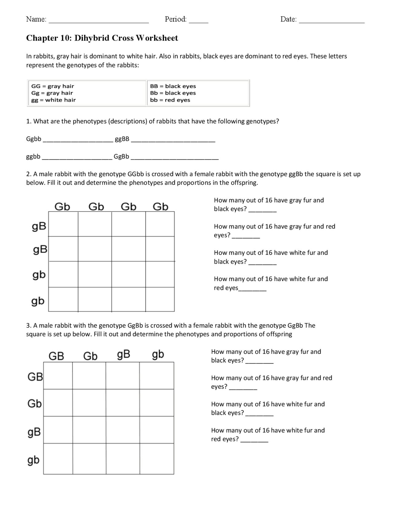 Chapter 10 Dihybrid Cross Worksheet Study Notes Genetics Docsity