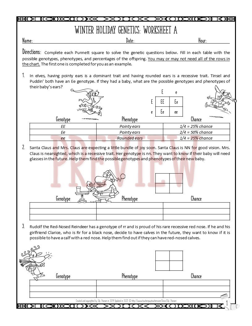 Christmas Winter Genetics Worksheet Differentiated Punnett Square Practice Made By Teachers
