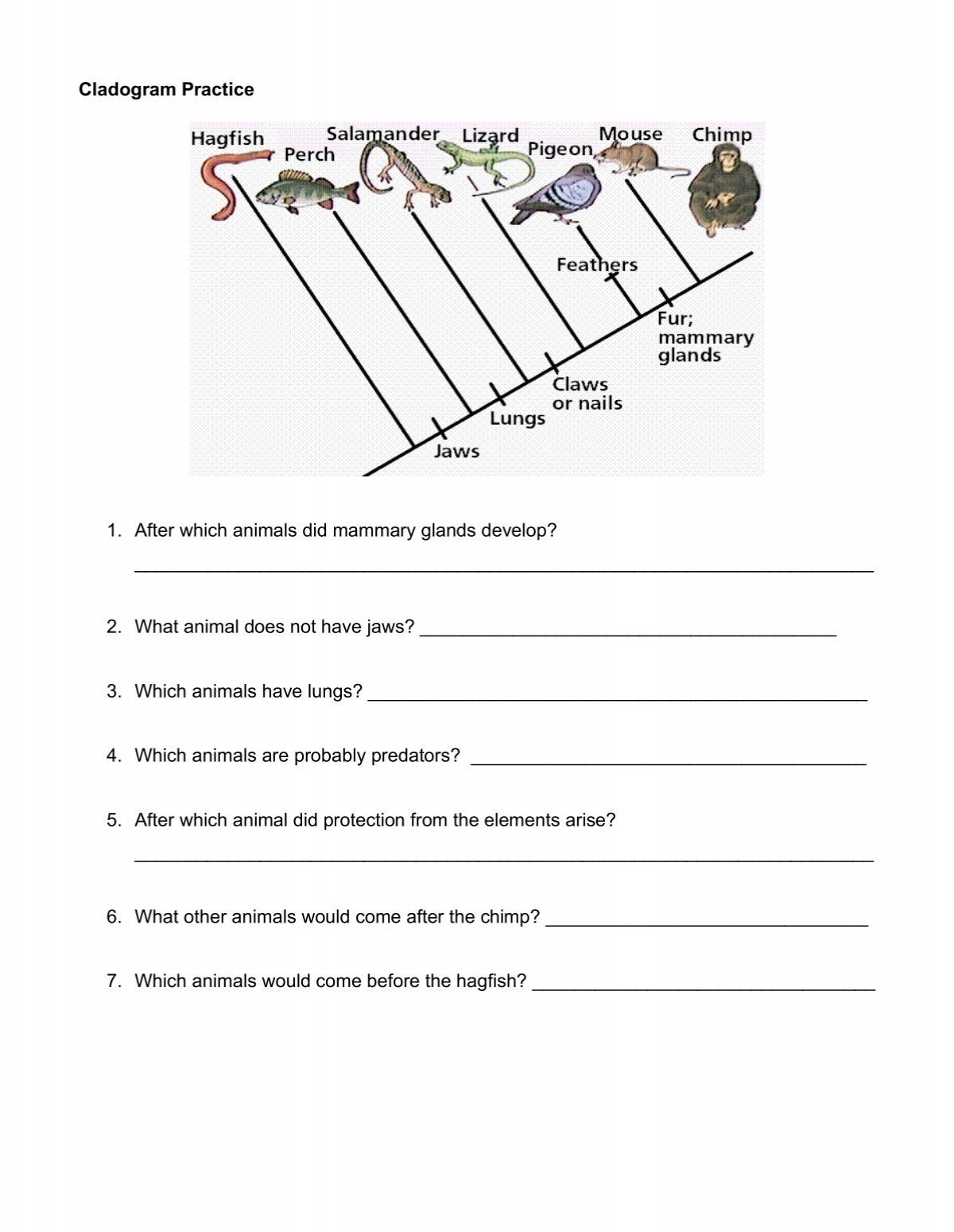 Cladogram Practice MrsIacuone