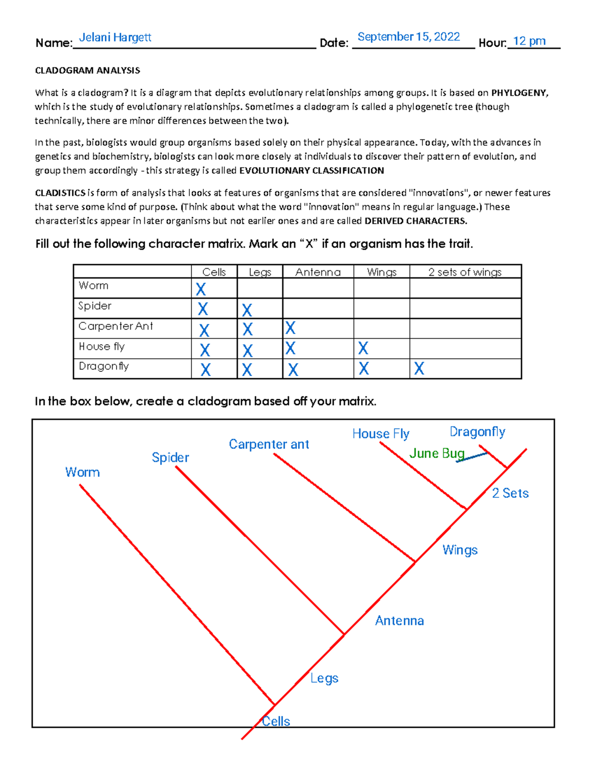 Cladogram Worksheet Analysis Kami Export Biology 101 Studocu