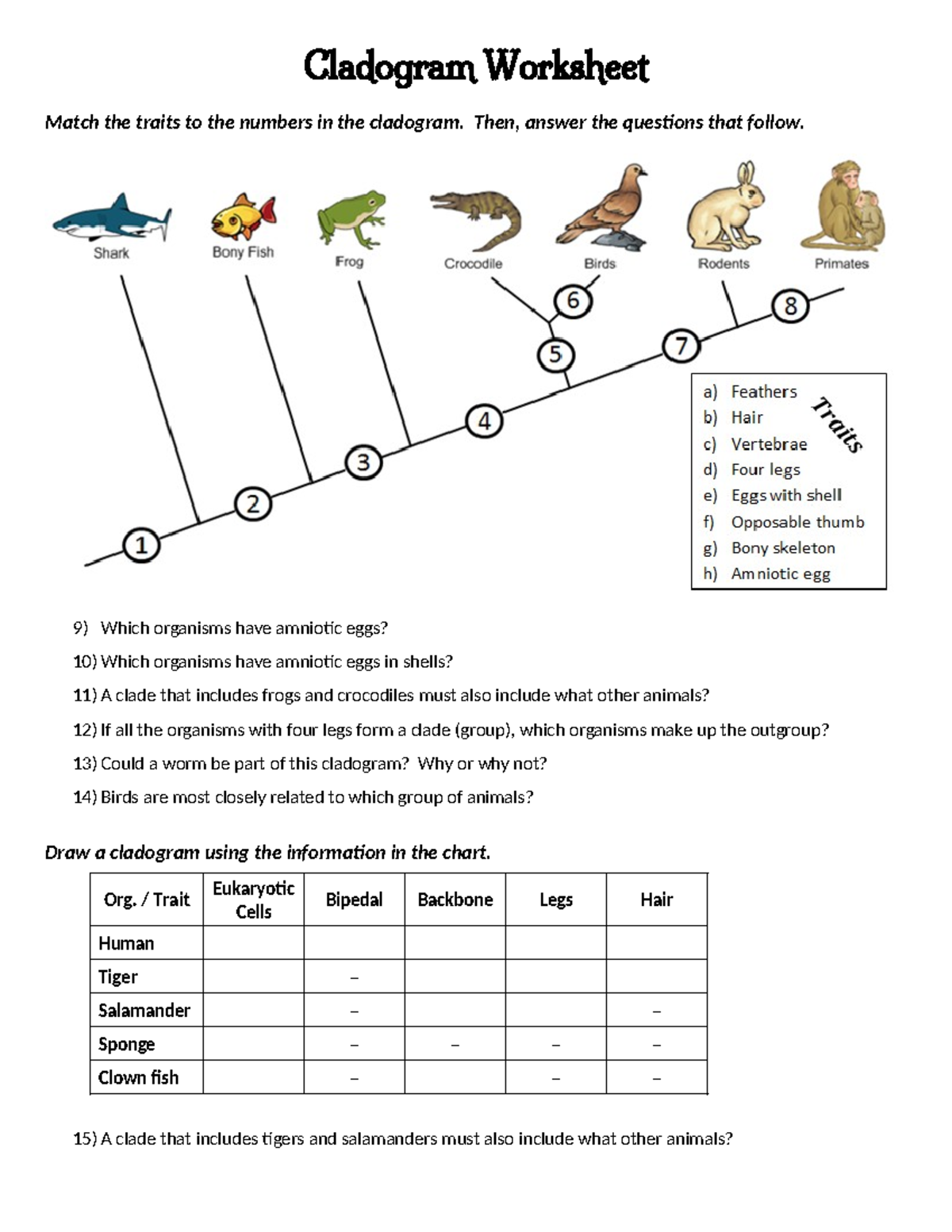 Cladogram Worksheet Analyzing Traits Phylogenetic Relationships Studocu