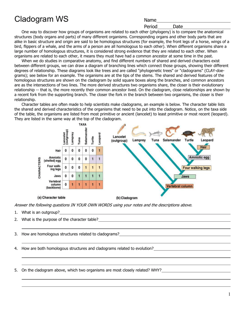 Cladograms Homologous Structures Worksheet