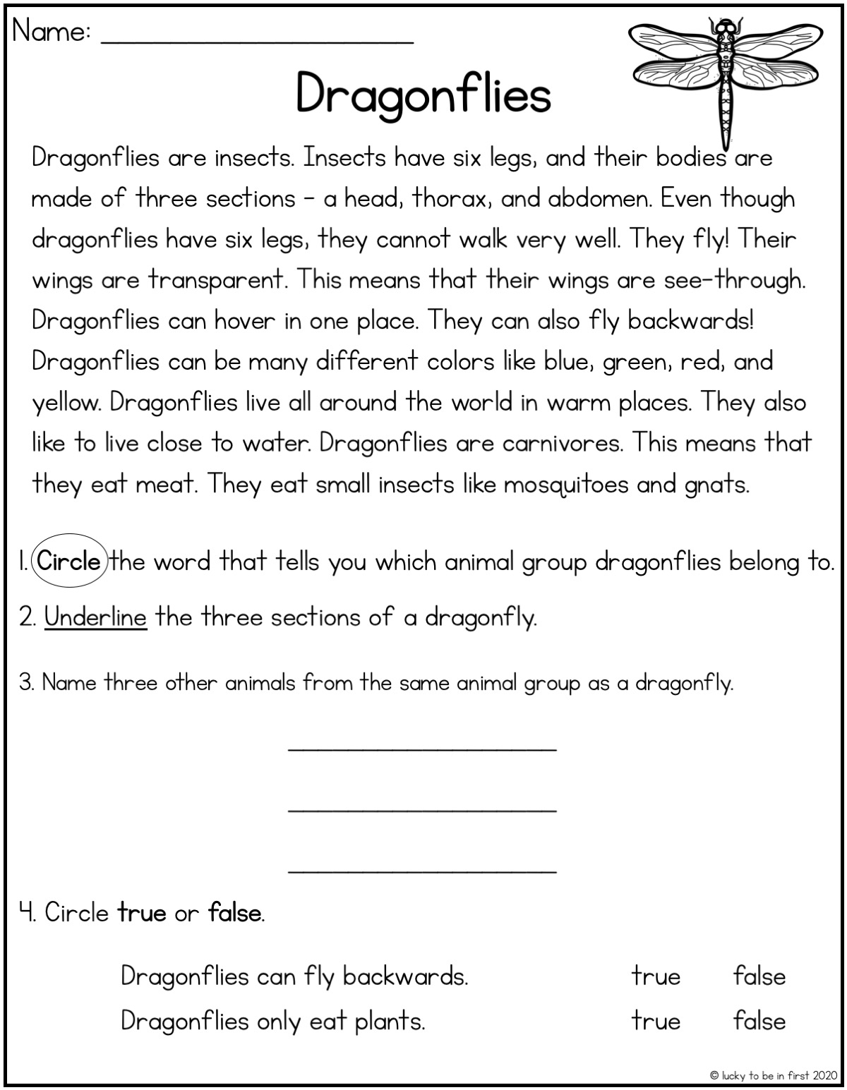 Close Reading For Primary Readers Volume 2 Shop Lucky Learning With Molly Lynch