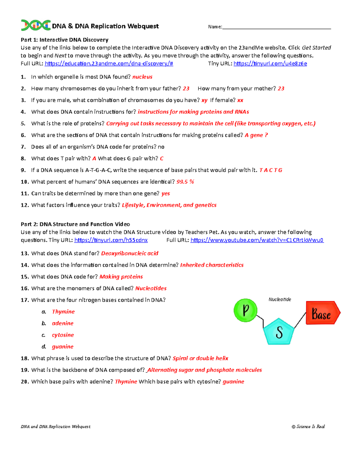 Copy Of Copy Of Crash Course DNA Replication Guided Notes DNA Structure And Replication Crash Studocu