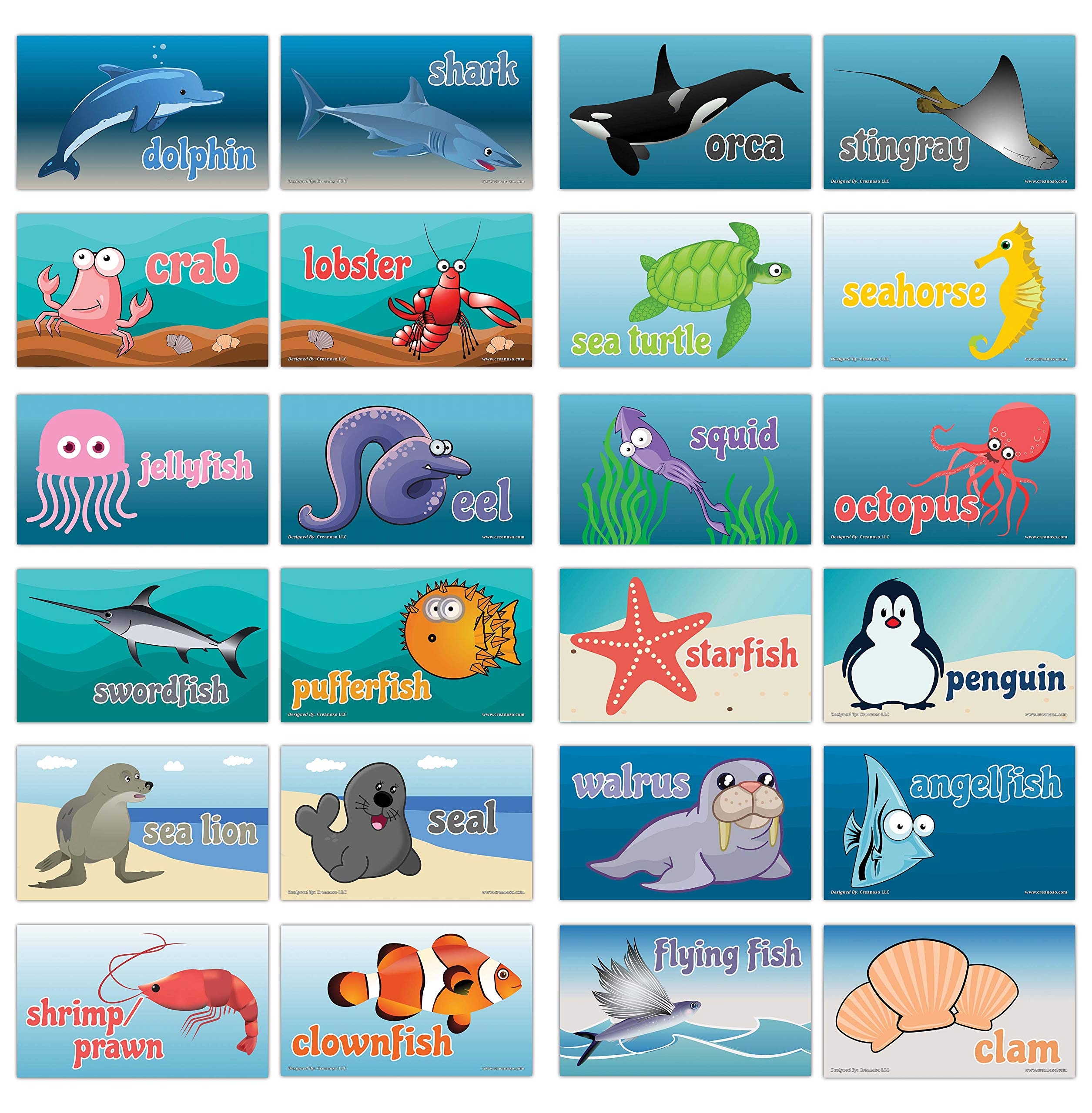 Creanoso Sea Creatures Flashcards For Children 12 Cards X 2 Set Assorted Informational Language Learning Cards Unique Stocking Stuffers Gifts For Boys Girls Buy Online At Best Price