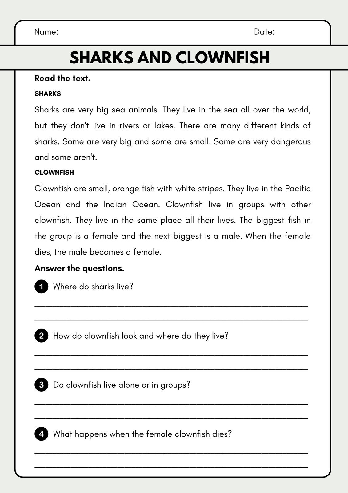 reading comprehension worksheets for 3rd grade