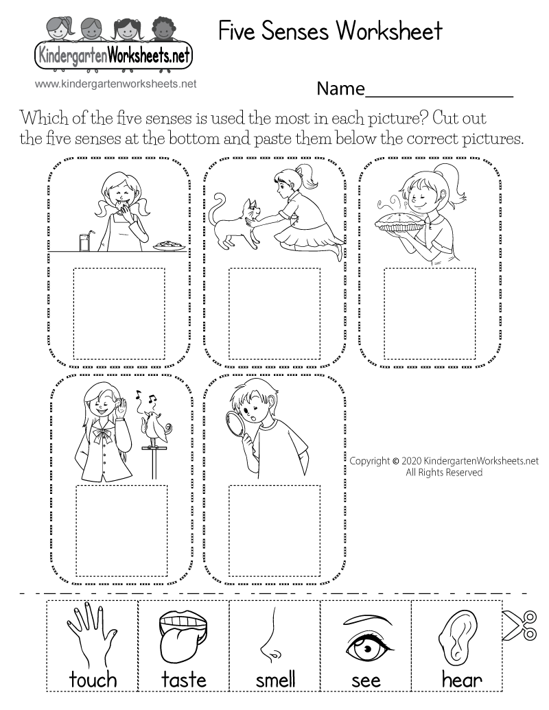 Cut and Paste Five Senses Worksheet Free Printable Digital PDF