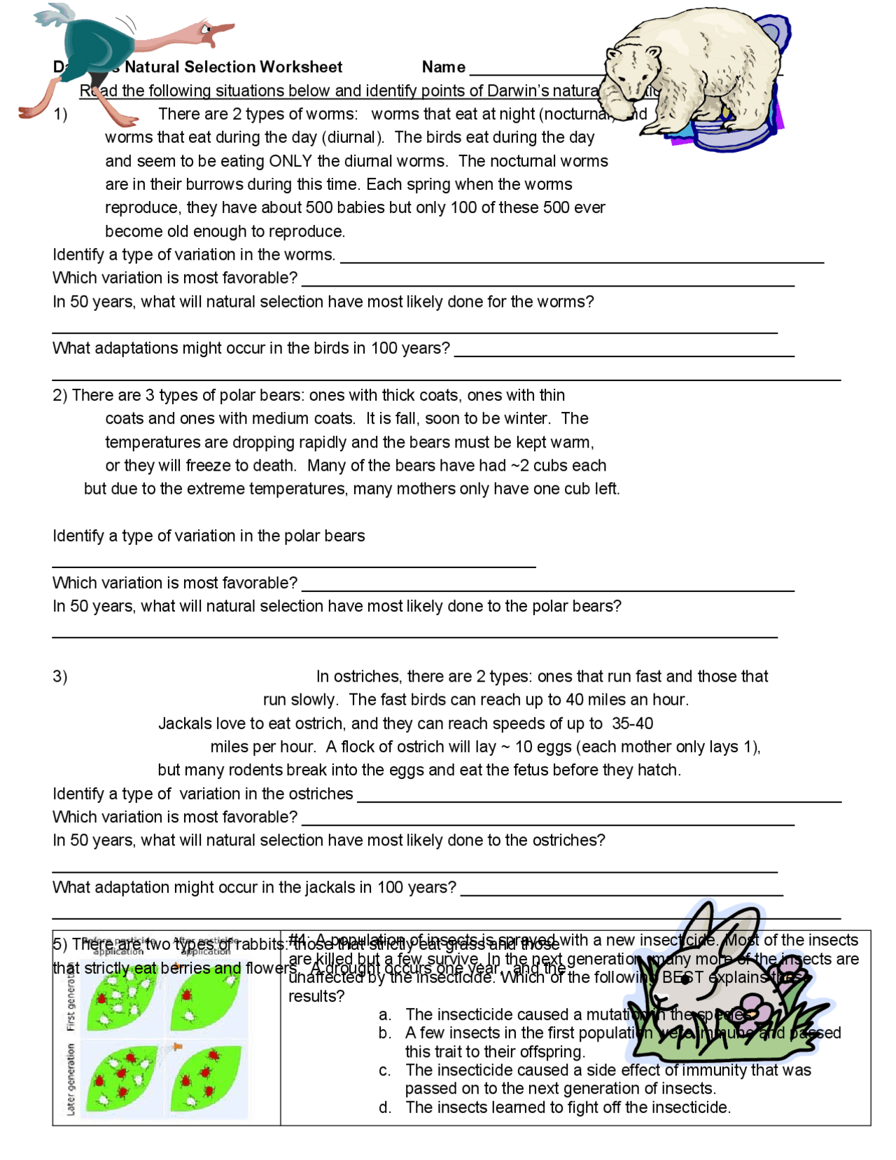 Darwin s Natural Selection Worksheet Cheat Sheet Biology Docsity Darwin s Natural Selection Worksheet Cheat Sheet Biology Docsity