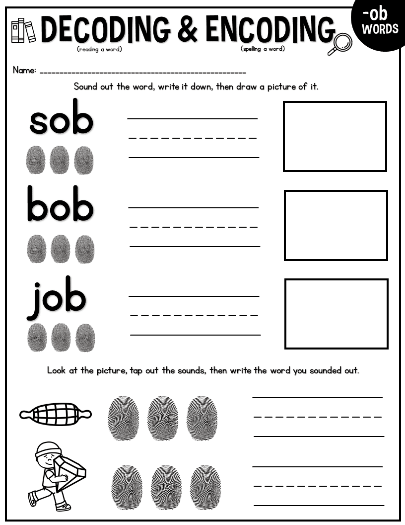 Decoding Encoding Words Reading And Spelling Naomi O Brien Read Like A Rockstar