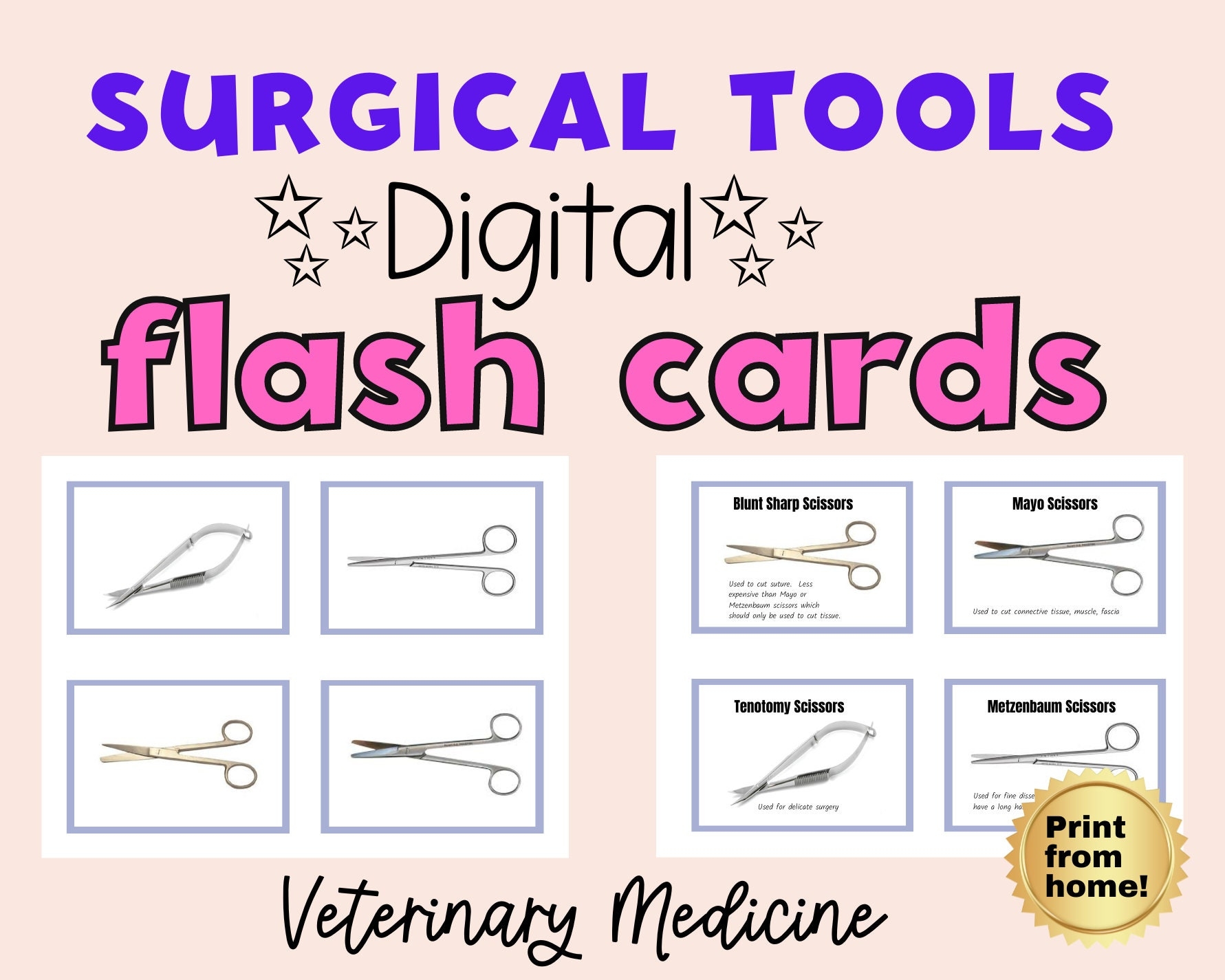 Digital Surgical Tools Veterinary Surgery Flash Cards Revision Vet Study Aid Vet Tech Surgery Flashcards Digital Vet Etsy