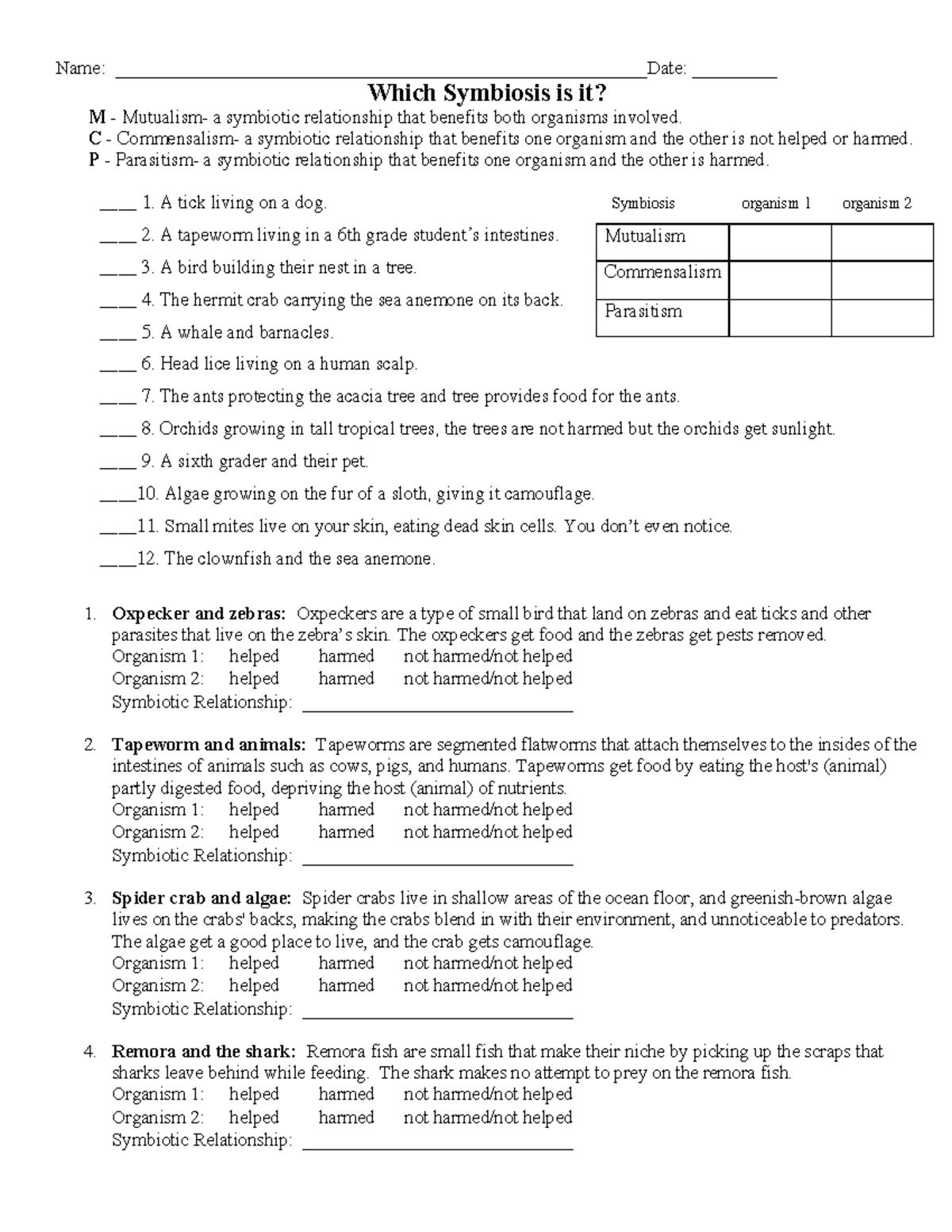 chapter 10 dihybrid cross worksheet answer key