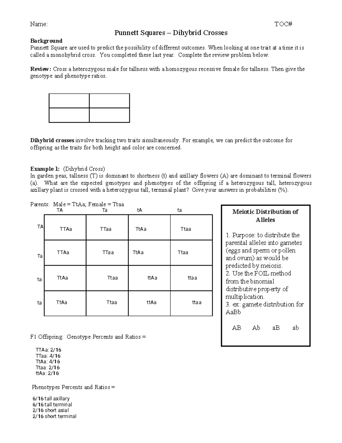 Dihybrid Crosses Genetics Worksheet TOC Studocu