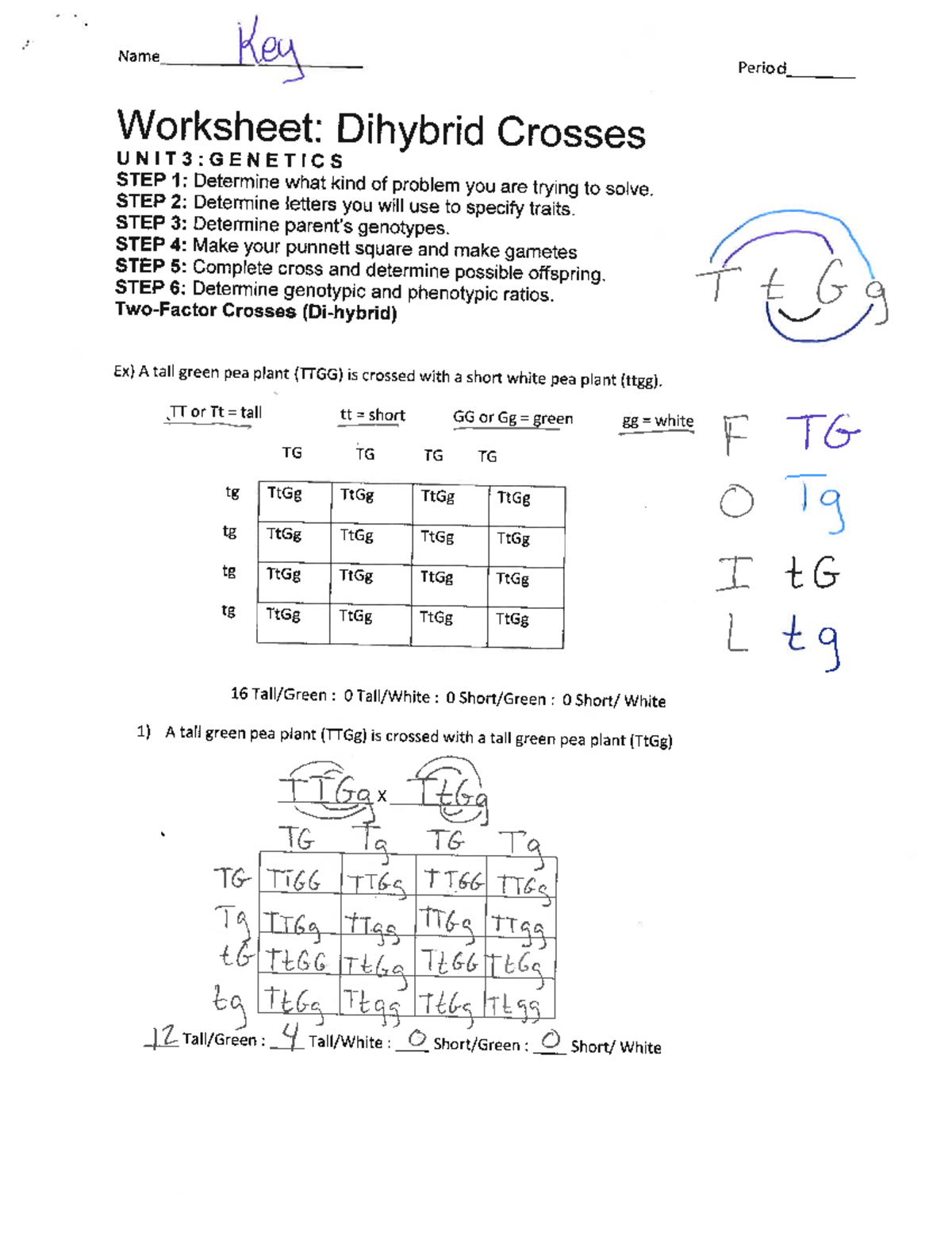 Dihybrid Practice Ws Answer Key Name Key Period Worksheet Dihybrid Crosses UNIT GENETICS STEP Studocu