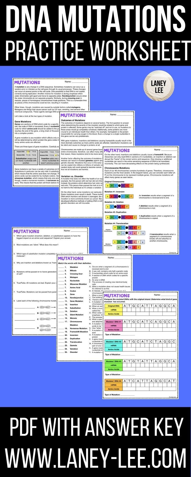 DNA Mutations Practice Worksheet With Answer Key Laney Lee