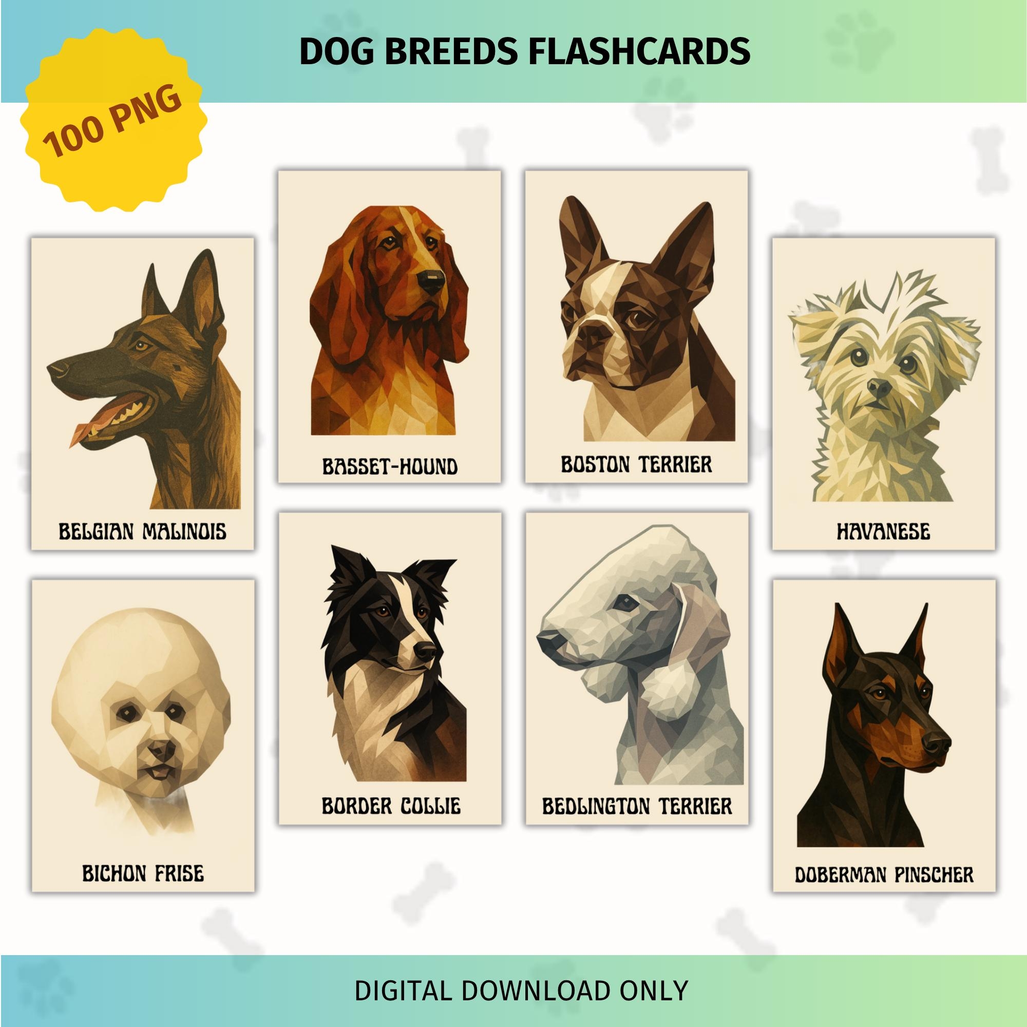 Dog Breed Flashcards Etsy de