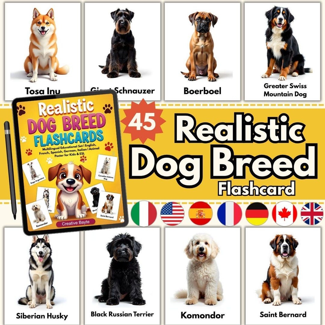 Dog Breed Flashcards Multilingual Educational Set PDF PNG Downloadable Files Etsy