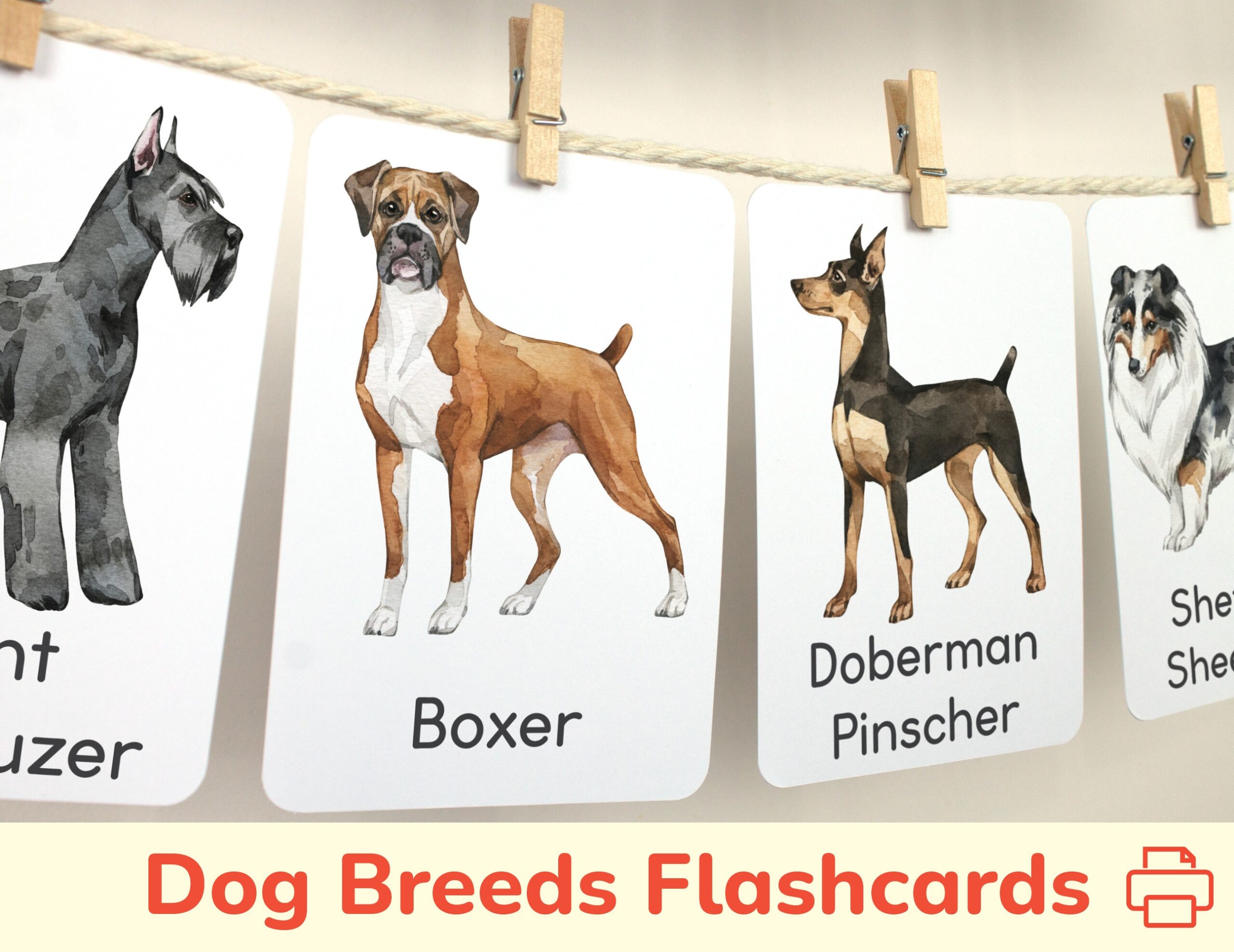 Dog Breeds Flashcards Set Of Printable Flash Cards Preschool Learning Printables Toddler Material Classroom Educational Wall Decor Etsy
