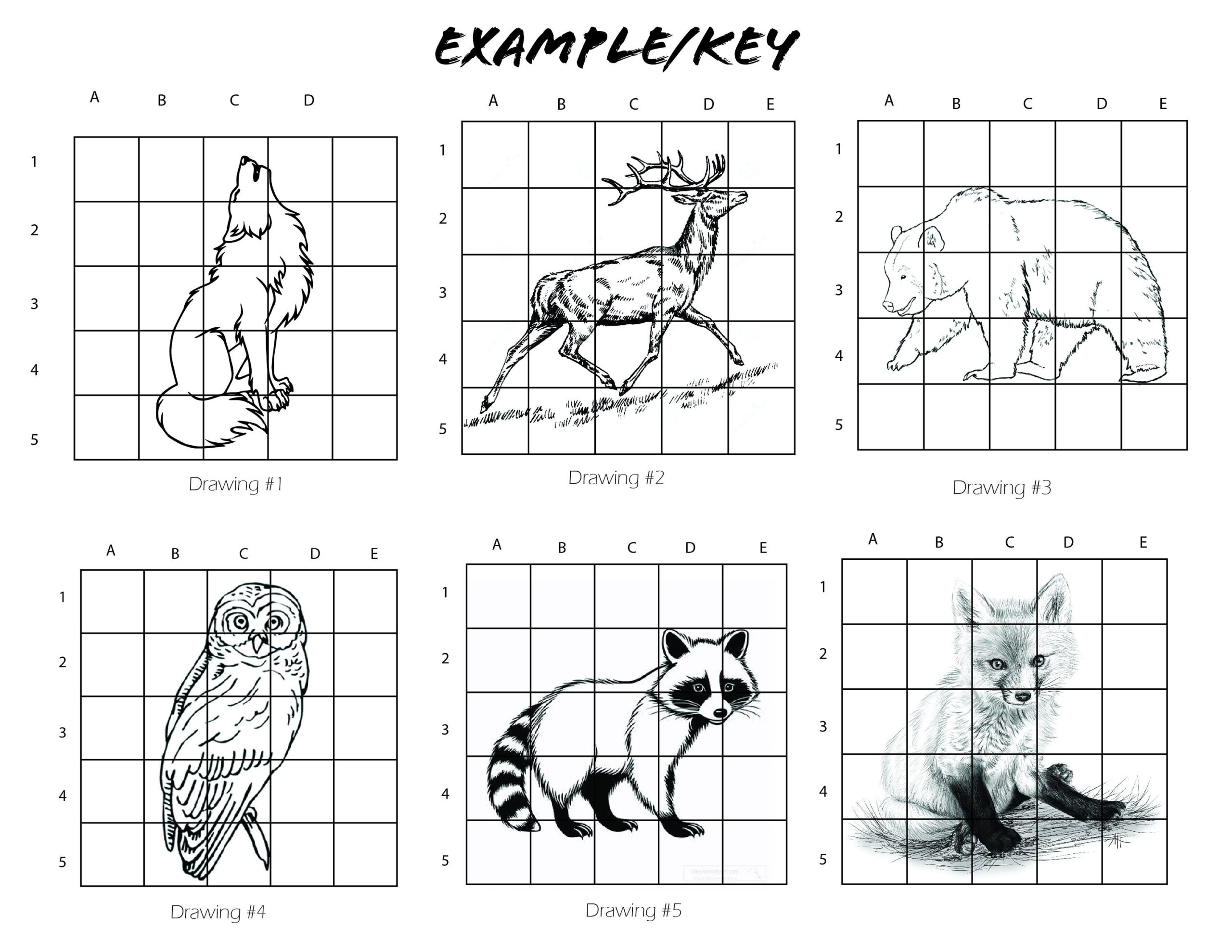 Drawing Worksheets Mystery Grid Drawings For Highschool And JH Drawing Class 6 Total Mystery Grid Animal Drawings Etsy UK