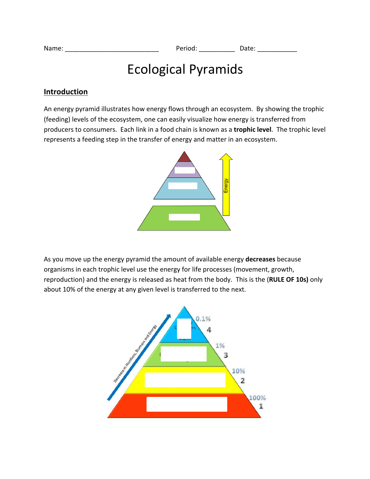 Ecological Pyramids Worksheet Ecological Pyramids Worksheet