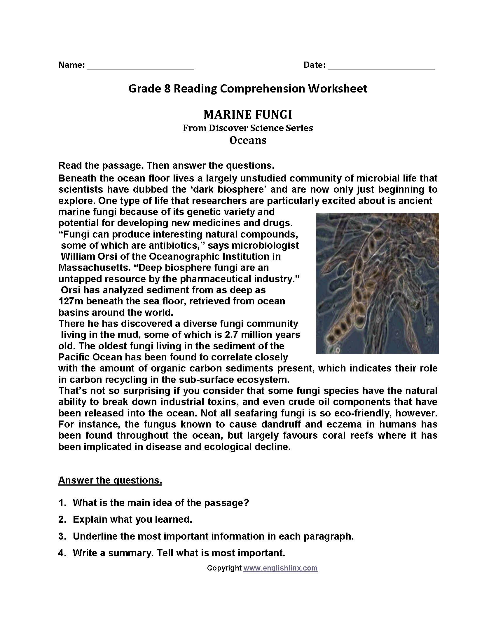 Eighth Grade Reading Worksheets Vocabulary Fluency Practice