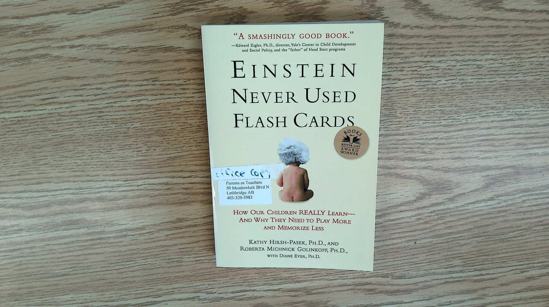 Einstein Never Used Flashcards How Our Children Really Learn and Why They Need To Play More And Memorize Less Einstein Never Used Flashcards How Our Children Really Learn and Why They Need To Play More And Memorize Less