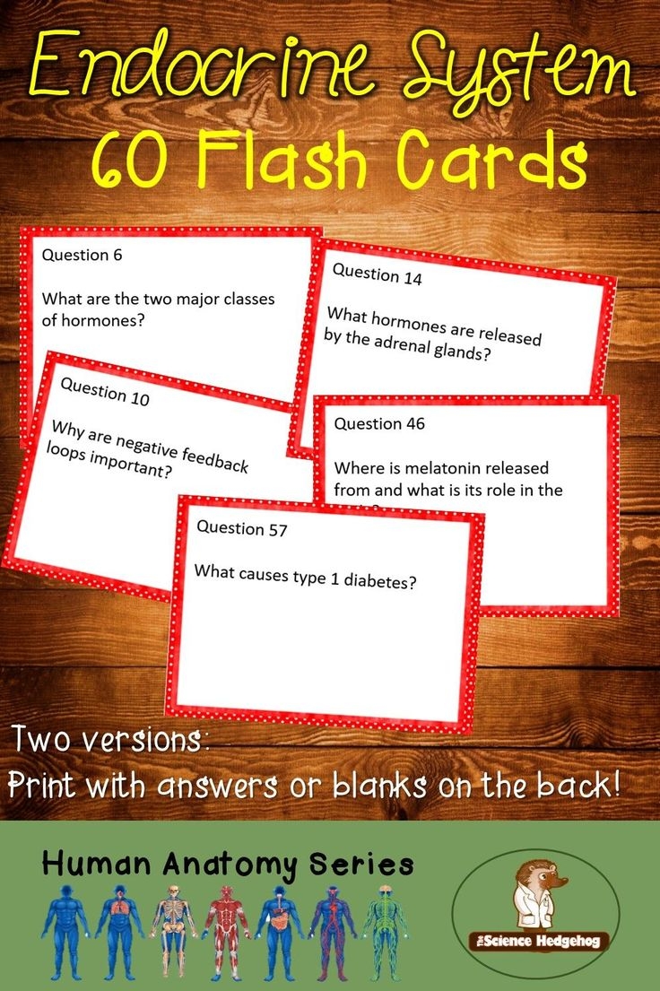Endocrine System Flash Cards