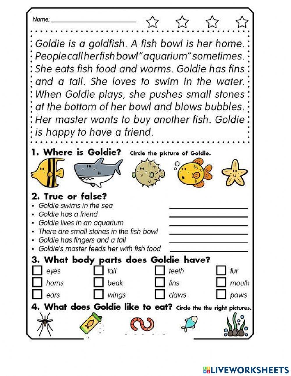 reading 3rd grade worksheets