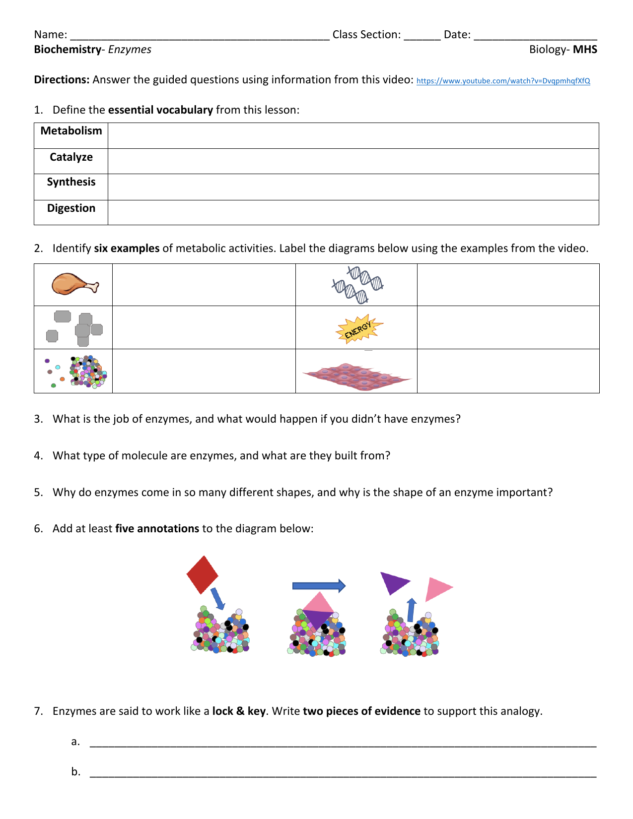 enzyme worksheet answers