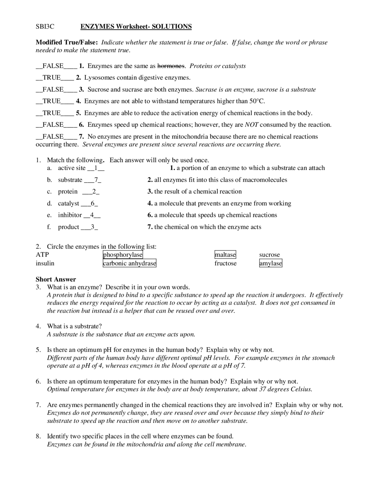 Enzymes Worksheet With Answer Key Exercises Biochemistry Docsity