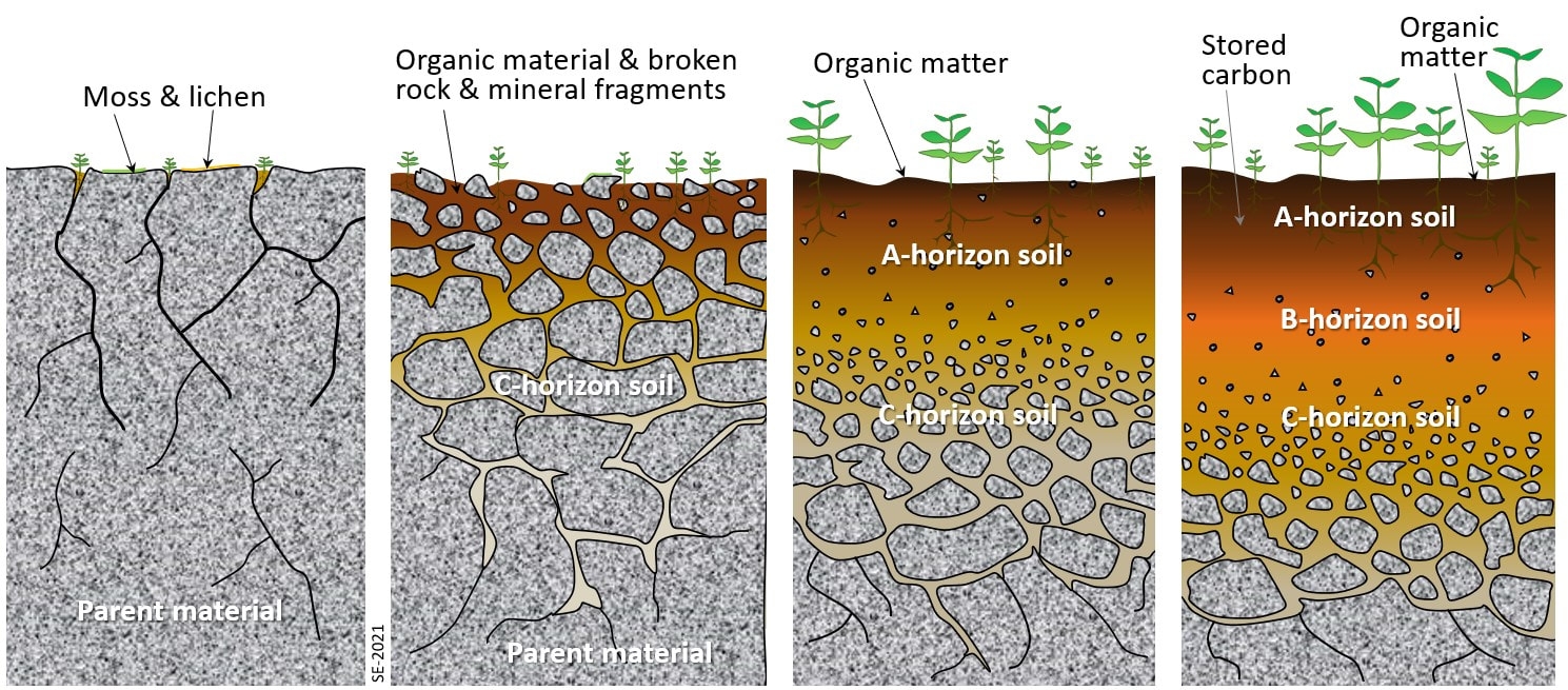 ESS Subtopic 5 1 Soils AMAZING WORLD OF SCIENCE WITH MR GREEN