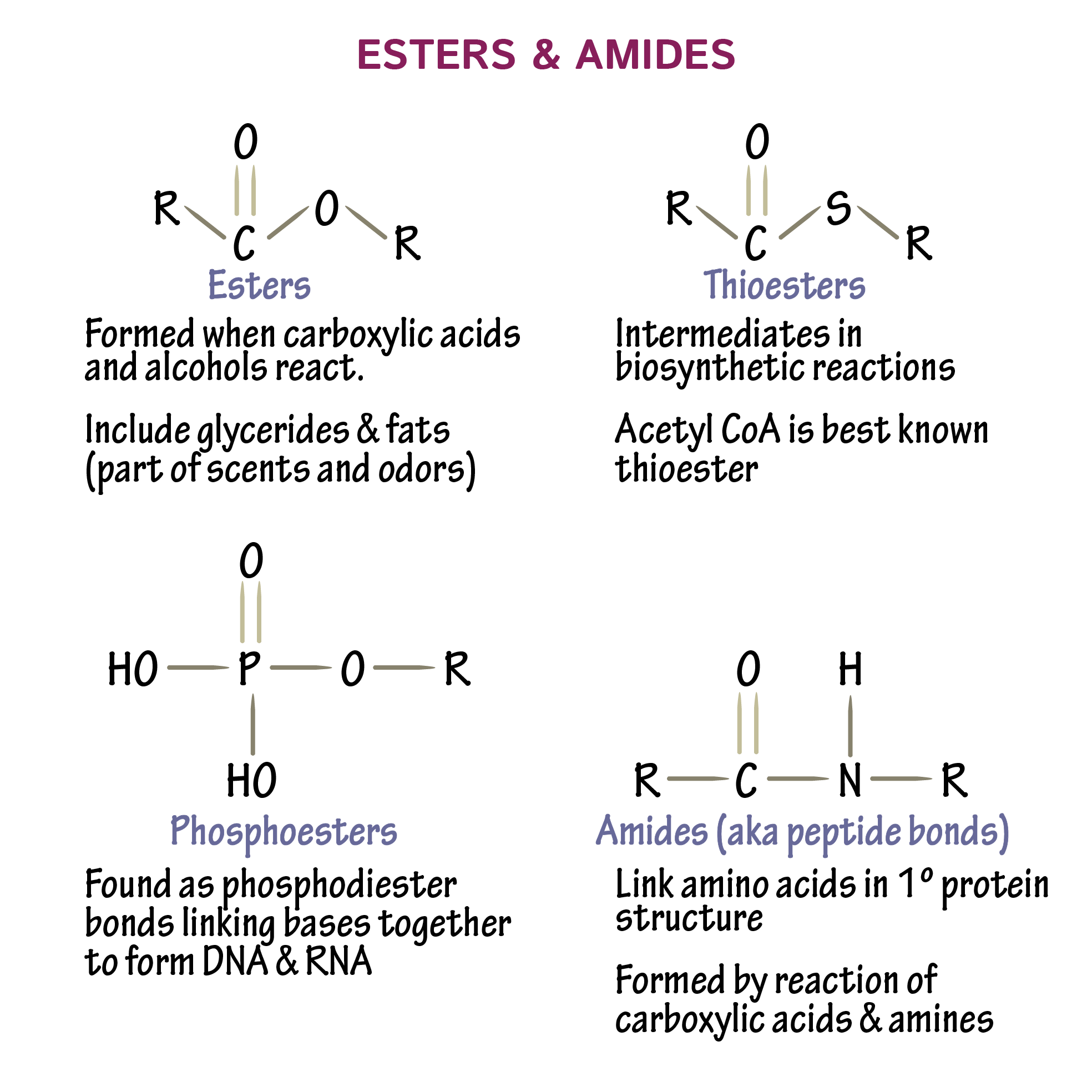 functional groups flashcards
